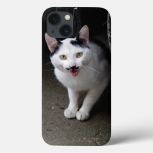 Etui iPhone 13 Chat avec Moustache