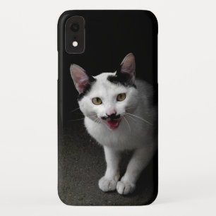 Case-Mate iPhone Case Chat avec Moustache