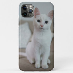 Case-Mate iPhone Case Chat blanc   Zazzle_Growshop.