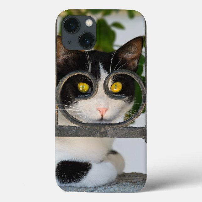 Coques Case-Mate iPhone Chat curieux avec Spectacles encadre une photo amu (Verso)