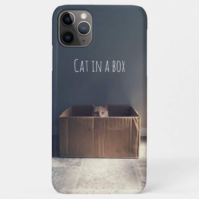 Coques Case-Mate iPhone Chat dans une boîte. Le maître du chat Zen. (Dos)