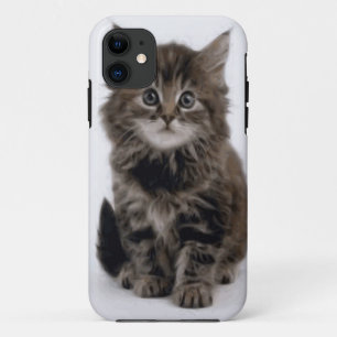 COQUES POUR iPhone CHAT DE LA CUISINE