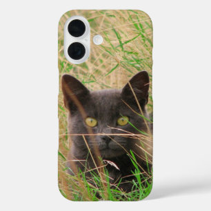 Coque Pour iPhone 16 Chat gris foncé qui sort de l'herbe haute