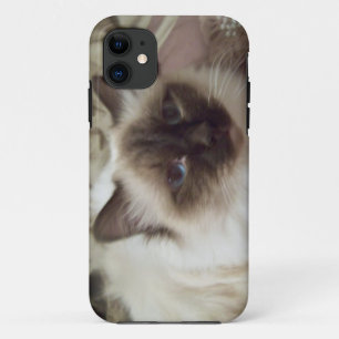 Etui iPhone Case-Mate Chat I-Phone case