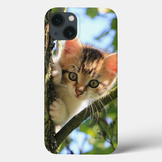 Coques Case-Mate iPhone Chat, Nature, Kitten (Verso)