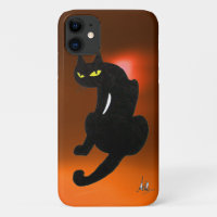 CHAT NOIR orange