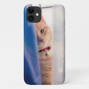 Case-Mate iPhone Case Chat orange face au collier proche, bleu