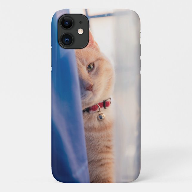 Coques Case-Mate iPhone Chat orange face au collier proche, bleu (Dos)