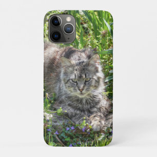 Case-Mate iPhone Case Chat pendant l'éclipse