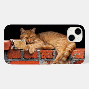 Coque Case-Mate iPhone Chat sur mur de brique