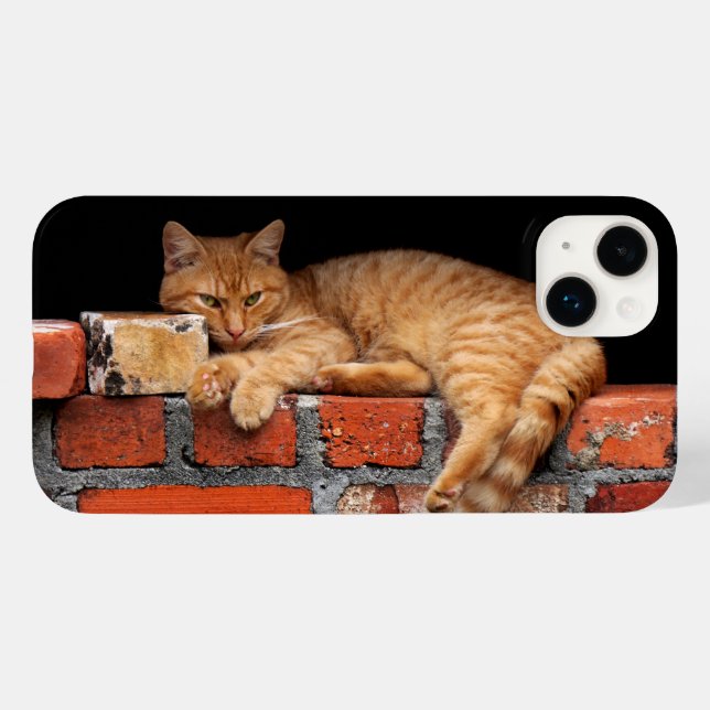 Coques Case-Mate iPhone Chat sur mur de brique (Verso (horizontal))
