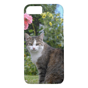 Coque Case-Mate iPhone chat tabby dans la cour