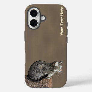 Coque Pour iPhone 16 Chat Tabby Gris Fumé