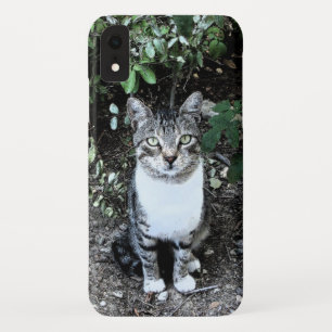 COQUE Case-Mate iPhone CHAT TURC NOIR ET BLANC RONIN