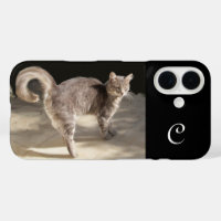 CHAT TURQUE MONOGRAMME