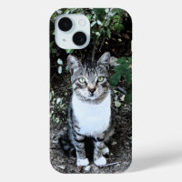 CHAT TURQUE NOIR ET BLANC RONIN