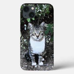 iPhone 13 COQUE CHAT TURQUE NOIR ET BLANC RONIN