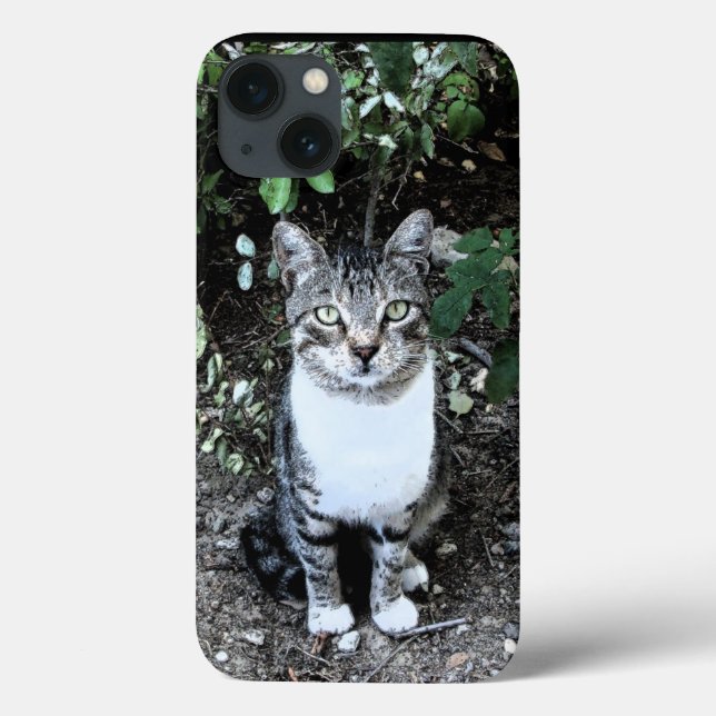 COQUES Case-Mate iPhone CHAT TURQUE NOIR ET BLANC RONIN (Verso)