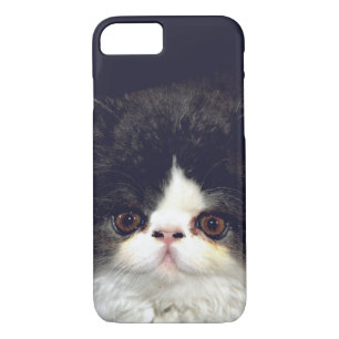 Etui iPhone Case-Mate Chaton blanc et noir