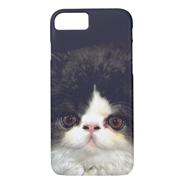 Coques Case-Mate iPhone Chaton blanc et noir (Dos)