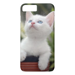 Coque Case-Mate iPhone Chaton blanc turc