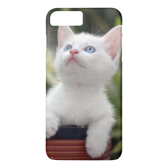 Coques Case-Mate iPhone Chaton blanc turc (Dos)