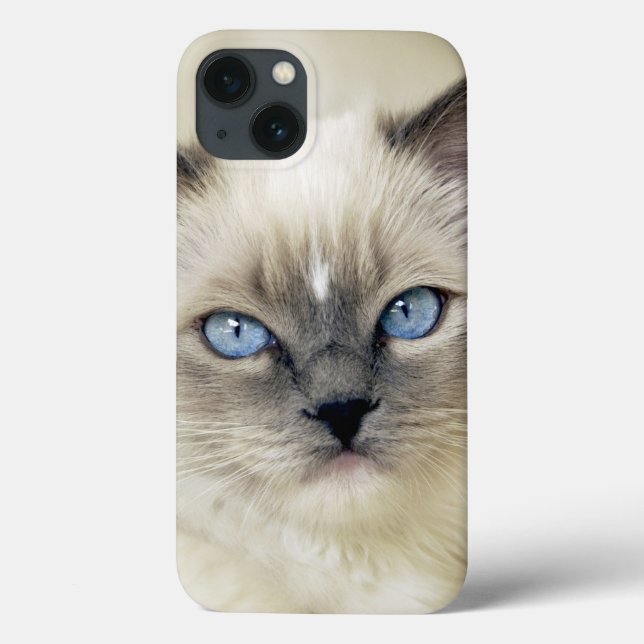Coques Case-Mate iPhone Chaton de Ragdoll (Verso)