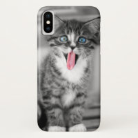 Chaton drôle