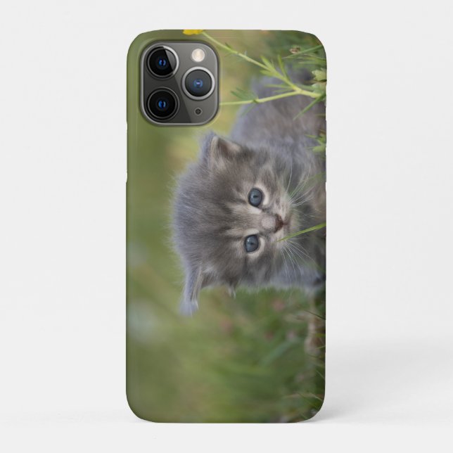 Coques Case-Mate iPhone Chaton Personnalisé Mignon (Dos)