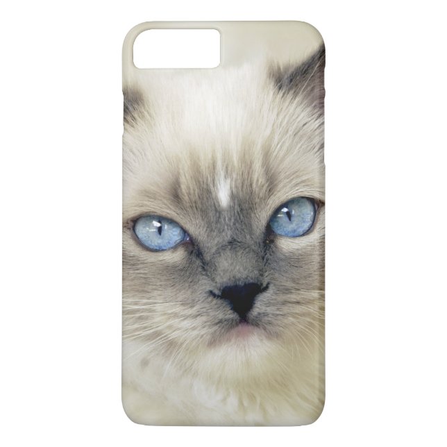 Coques Case-Mate iPhone Chaton Ragdoll (Dos)
