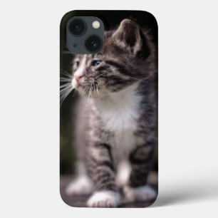 iPhone 13 Coque Chaton se tenant grand