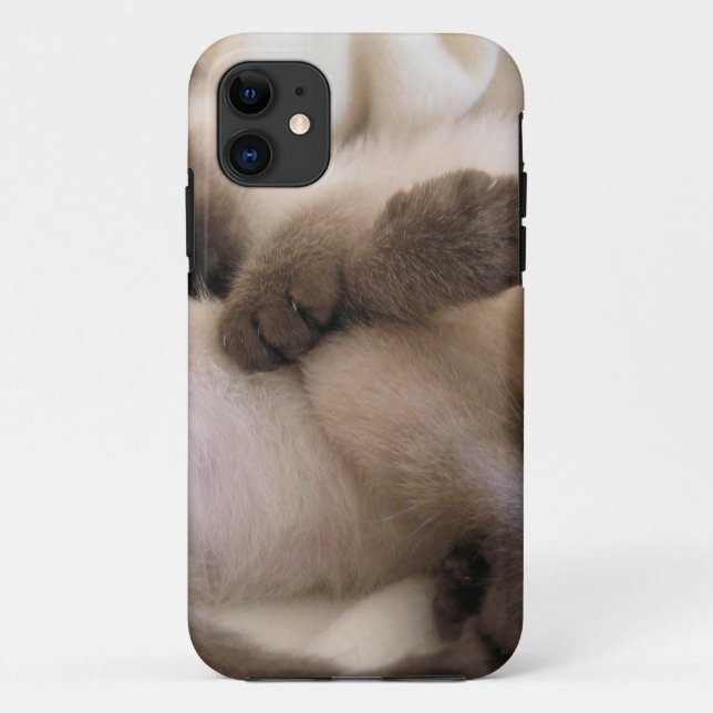 Coques Case-Mate iPhone Chaton siamois mignon de chat d'animal familier de (Dos)