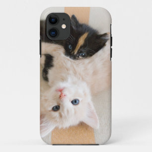 Coques Pour iPhone Chatons blancs et noirs