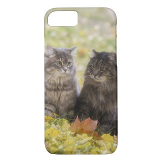 Coque iPhone 7 Chats