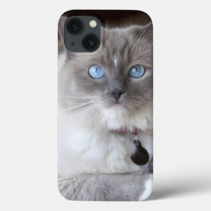 Coque Case-Mate iPhone Chatte Ragdoll