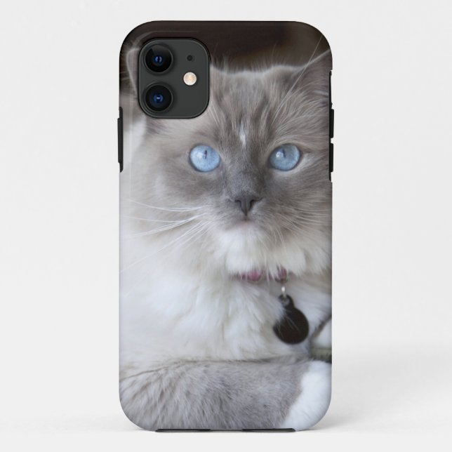 Coques Case-Mate iPhone Chatte Ragdoll (Dos)