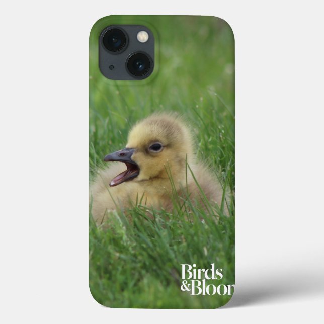 Coques Case-Mate iPhone Chauffage à l'oie canadienne (Verso)