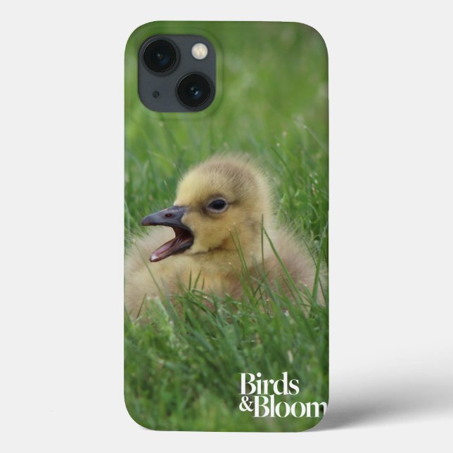 Coques Case-Mate iPhone Chauve-souris canadienne (Verso)