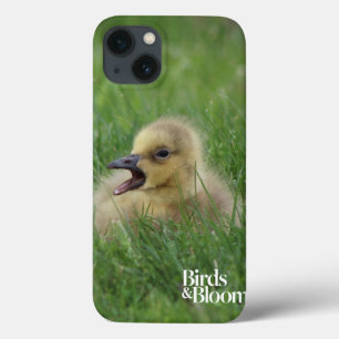 Etui iPhone Case-Mate Chauve-souris canadienne