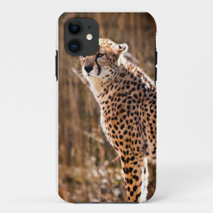 Coques Pour iPhone Cheetah