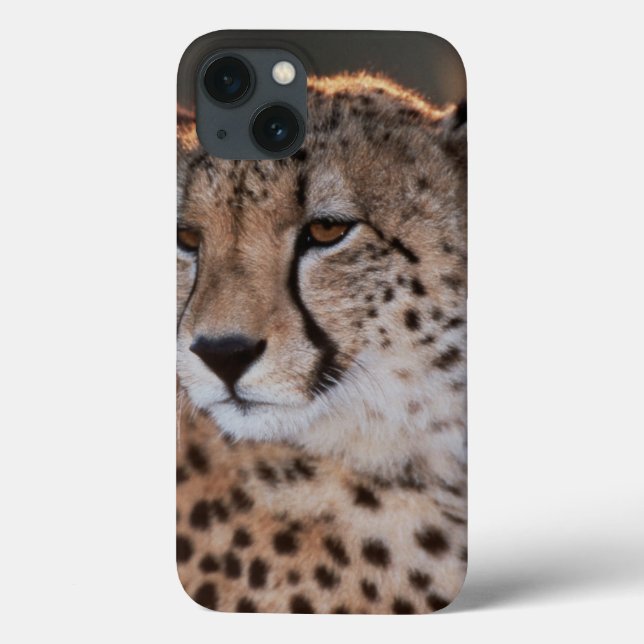 Coques Case-Mate iPhone Cheetah looking away (Verso)