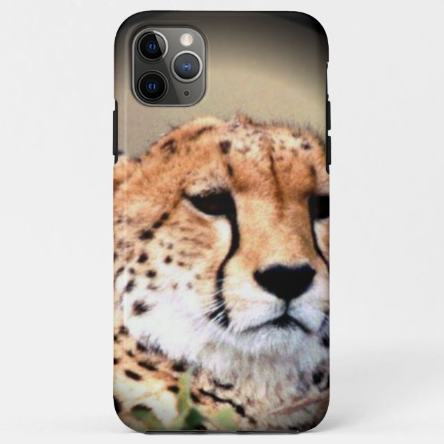 Coques Case-Mate iPhone Cheetah Portrait par Pleine lune : La grâce de la  (Dos)