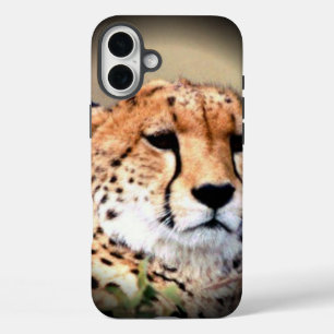 Coques iPhone 16 Plus Cheetah Portrait par Pleine lune : La grâce de la 