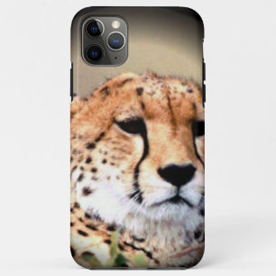 Coque Case-Mate iPhone Cheetah Portrait, Pleine lune : La grâce de la nat