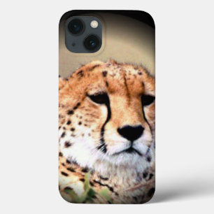 Case-Mate iPhone Case Cheetah tear Marks Hakunamatata