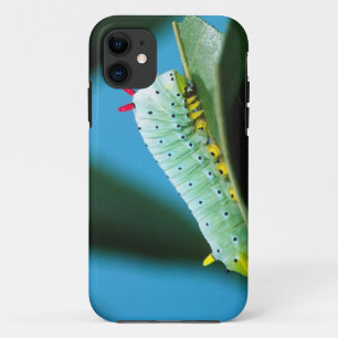 Coques Pour iPhone Chenille du papillon Prométhée, Callosamia