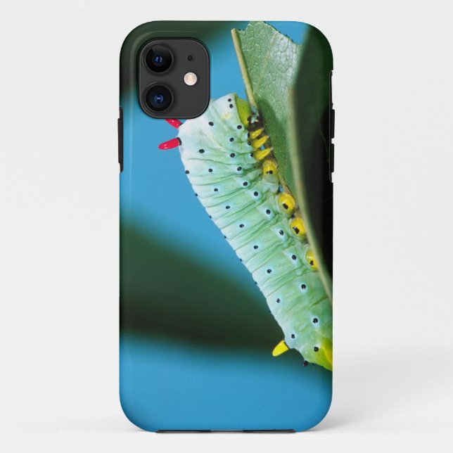 Coques Case-Mate iPhone Chenille du papillon Prométhée, Callosamia (Dos)