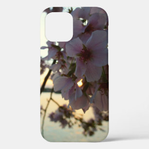 Case-Mate iPhone Case Cherry Blossom Sunset à Washington DC