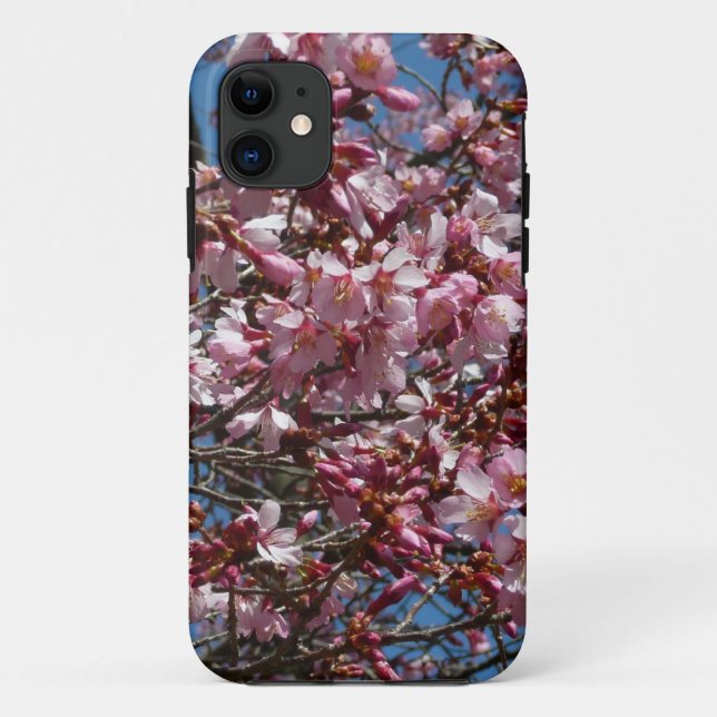 Coques Case-Mate iPhone Cherry Blossoms et Blue Sky Spring Floral (Dos)