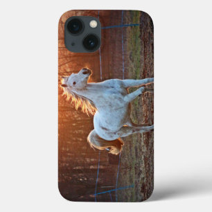 Etui iPhone Case-Mate Cheval Arabe gris